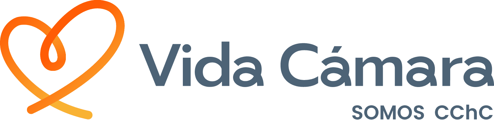 Logo Vida Cámara